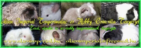 bannerfans_606153.jpg
